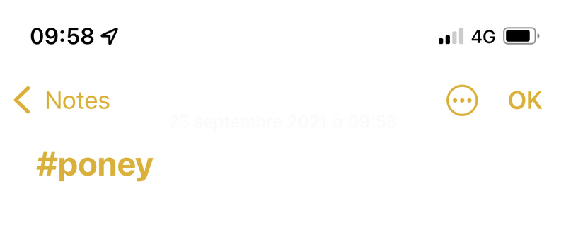 Illustration : iOS-iPadOS 15 : les nouveautés de Notes (notes partagées, note rapide, notification...)