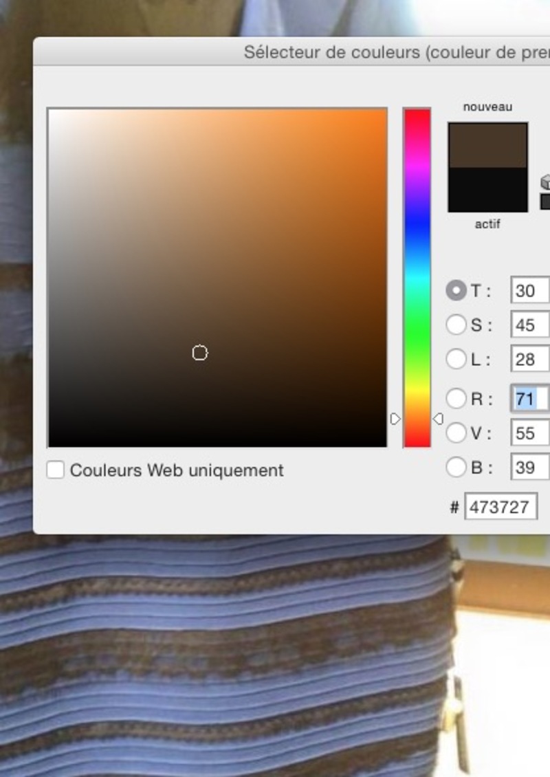 Illustration : Insolite : de quelle couleur est cette robe "qui a cassé internet" ?