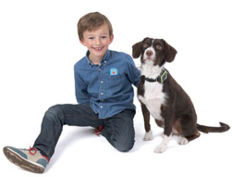 Illustration : Weenect Pets : quand SFR propose un collier GPS pour chien et chat