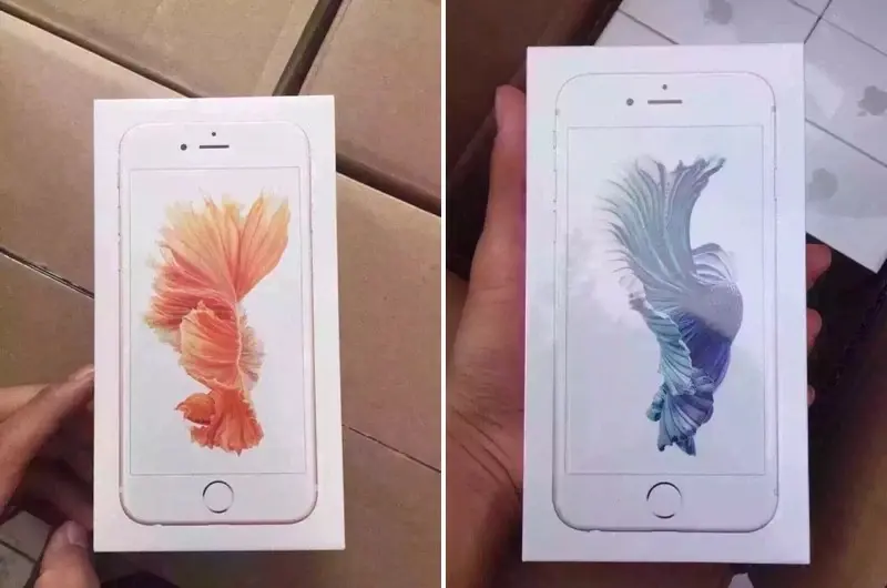 L'image du soir : l'iPhone 6s rose et toutes ses boites en vadrouille sur le web