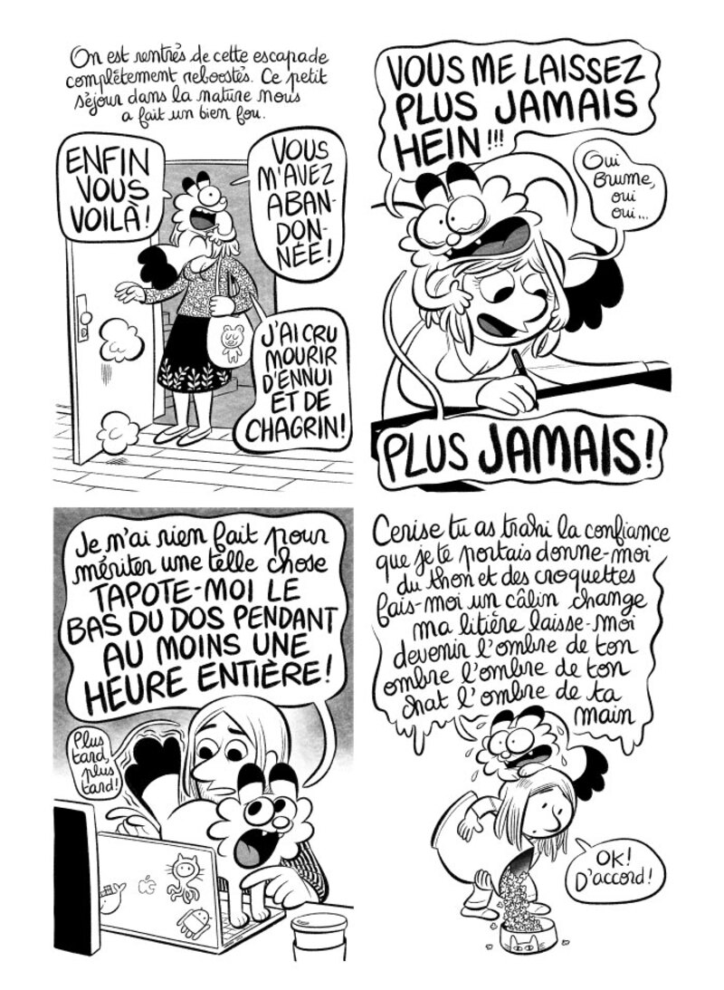 Illustration : BD : "J'ai créé ma startup iOS en Californie", par Laurel