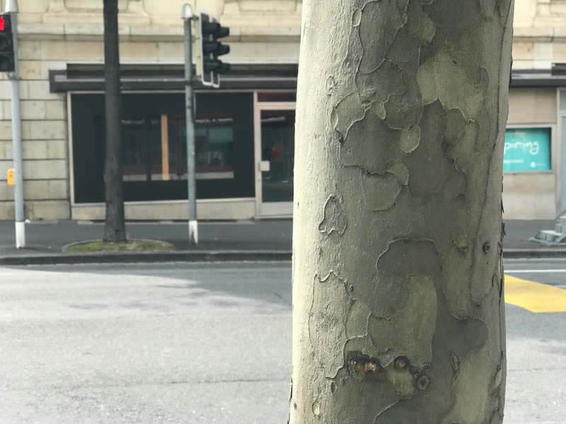 Illustration : Prise en main de l'effet "profondeur de champ" (portrait) de l'iPhone 7 Plus (vidéo + photos)