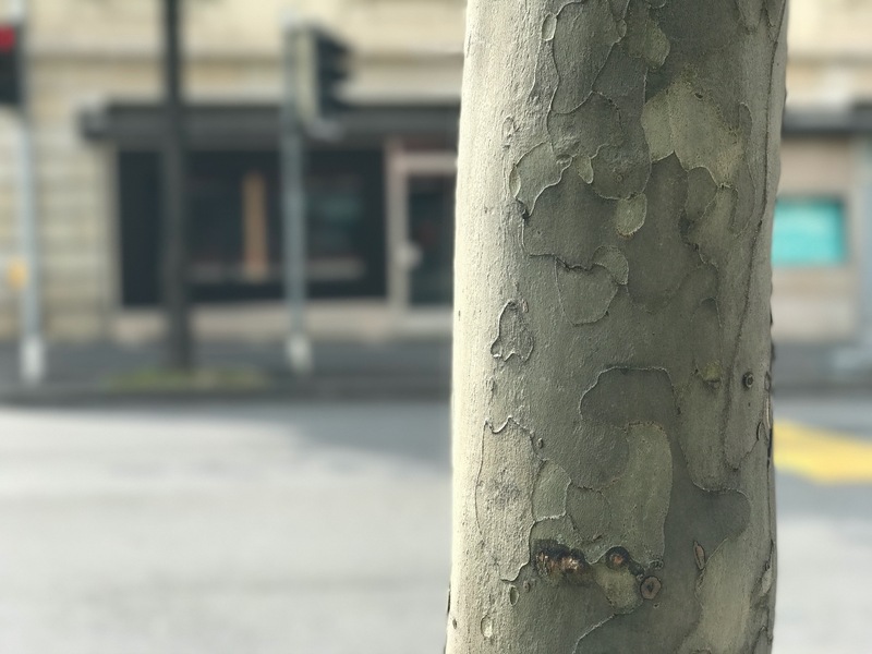 Illustration : Prise en main de l'effet "profondeur de champ" (portrait) de l'iPhone 7 Plus (vidéo + photos)