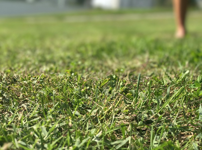 Illustration : Prise en main de l'effet "profondeur de champ" (portrait) de l'iPhone 7 Plus (vidéo + photos)