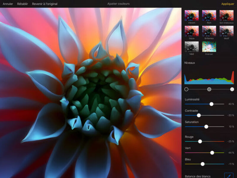 Illustration : Pixelmator, un excellent éditeur d'image, à moins de 1 € sur iPhone et iPad