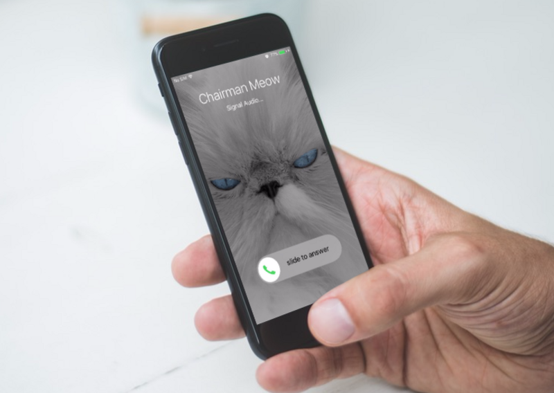 Illustration : La messagerie Signal sait désormais passer des appels en vidéo