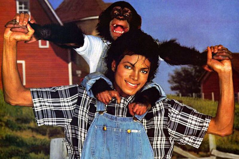 Illustration : Bubbles, le chimpanzé de Michael Jackson, débarque sur Netflix