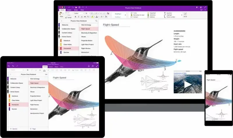 OneNote bénéficie d'un petit relooking sous iOS et Mac