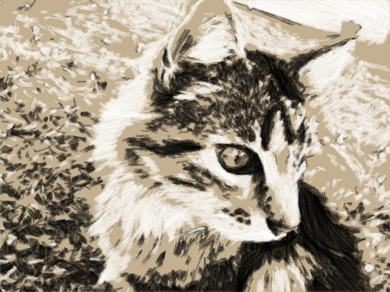 Illustration : Transformez une photo en dessin au fusain (ou à la craie) avec Charcoal
