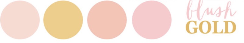 Illustration : iPhone 8 : pas cuivré mais "Blush Gold", et 64Go de mémoire de base ?