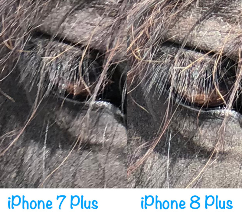 Illustration : Test de l'iPhone 8 et de l'iPhone 8 Plus