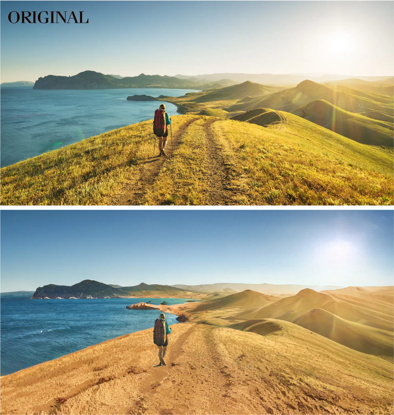 Illustration : Adobe Max 2021 : le plein de nouveautés sur Photoshop, Illustrator, Lightroom...