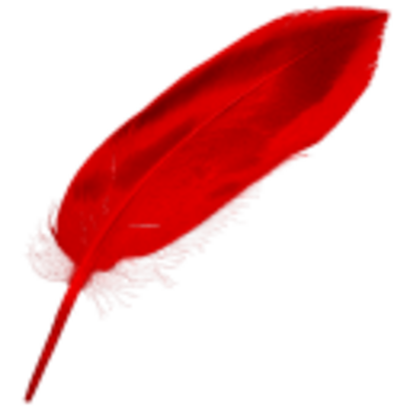 Illustration : iCalamus va être repris par LemkeSoftware (Graphic Converter)