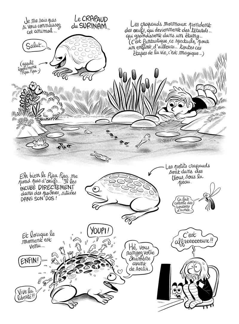 BD Planche #38 : "Californid", par Laurel