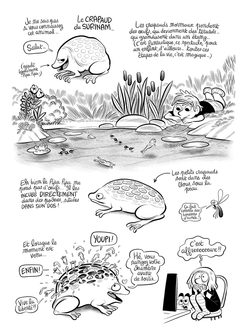 BD Planche #38 : "Californid", par Laurel