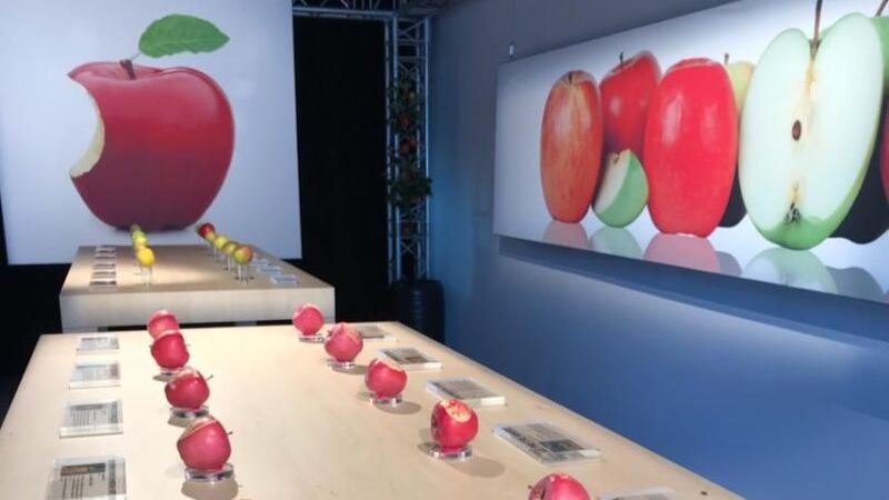 Illustration : Insolite : un Apple Store temporaire (avec de vraies Pommes) a ouvert près de Metz