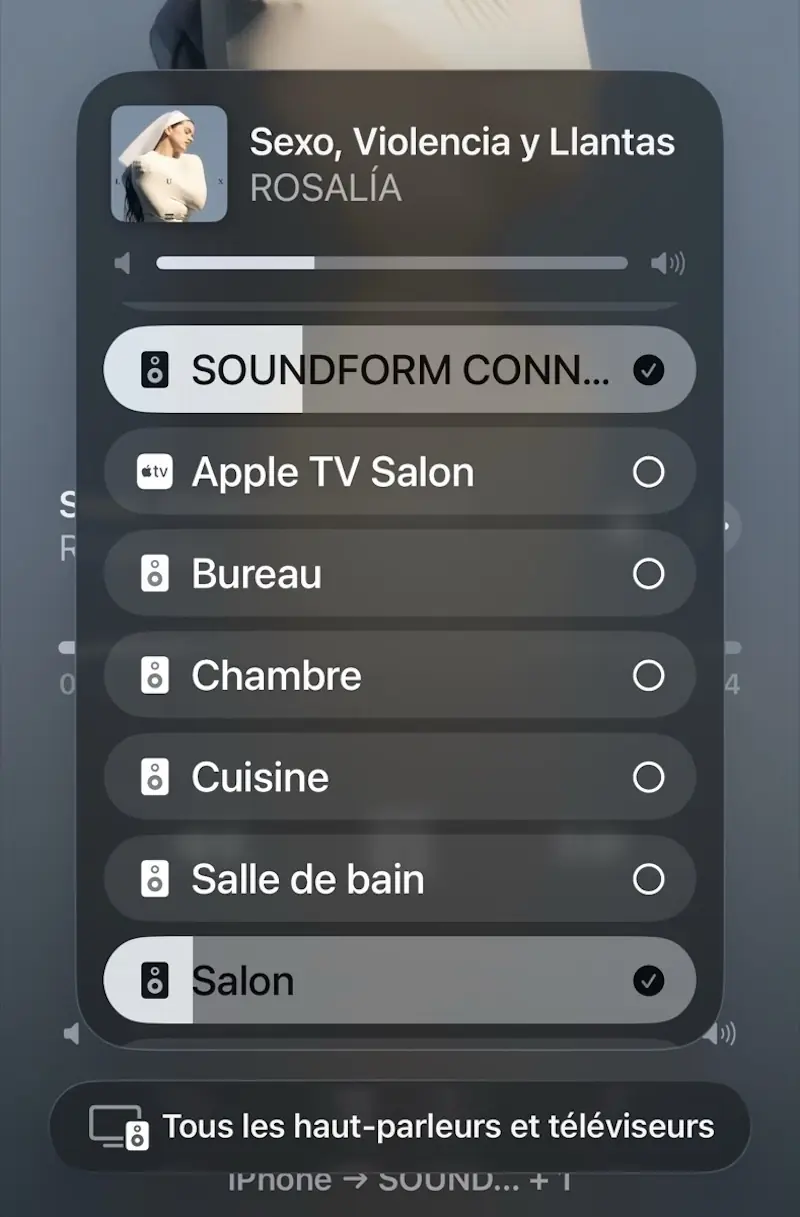 Et oui, &ccedil;a cohabite tr&egrave;s bien en AirPlay 2 avec mes nombreuses enceintes SONOS