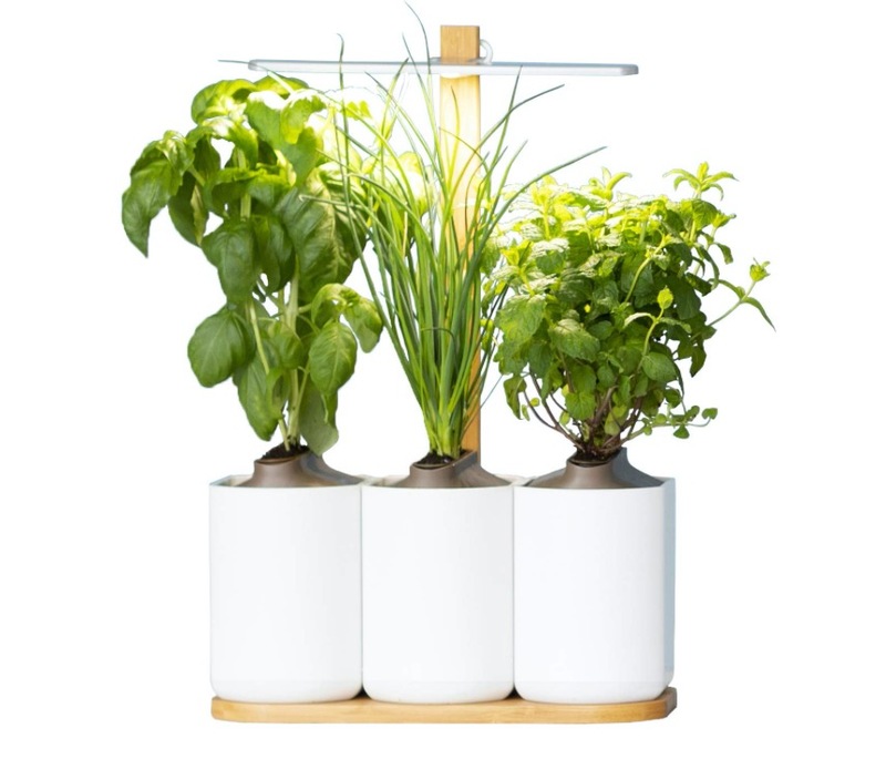Promos : prise HomeKit à 28€, multiprise à 26€, Lilo à 69€, microSDXC 64Go à 15€