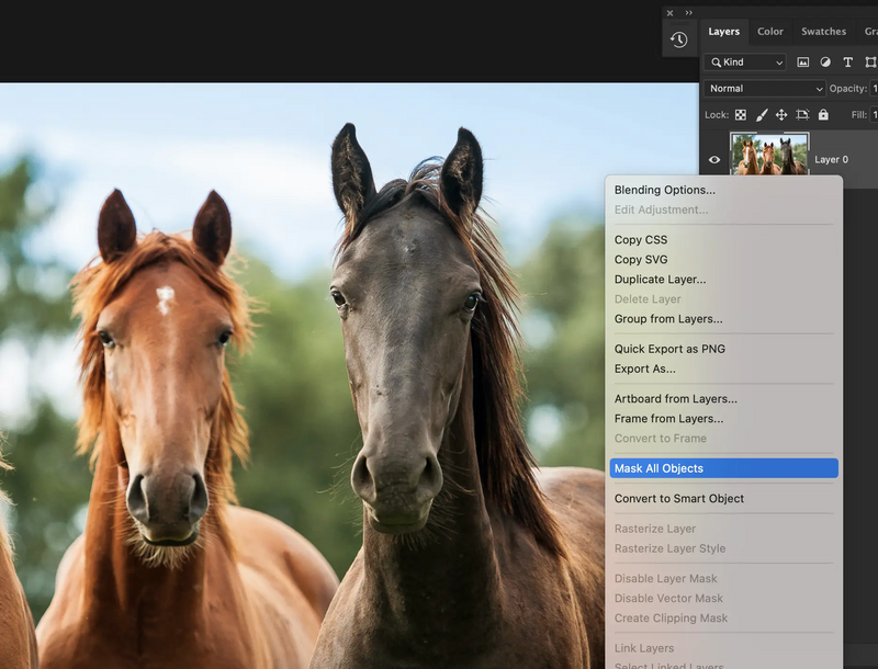 Illustration : Adobe Max 2021 : le plein de nouveautés sur Photoshop, Illustrator, Lightroom...