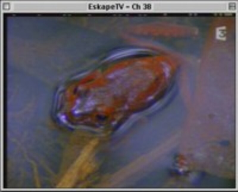 Illustration : La TV sur Mac, c'est possible !
