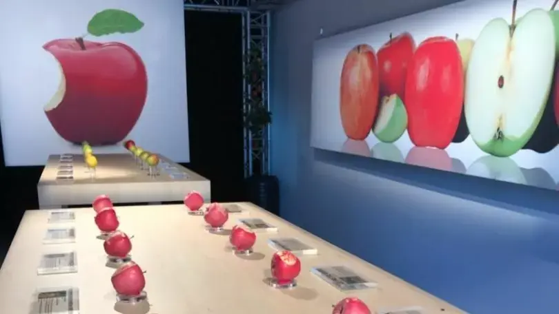 Insolite : un Apple Store temporaire (avec de vraies Pommes) a ouvert près de Metz