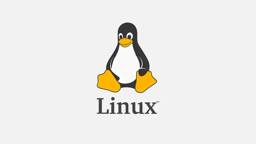 L'Etat fran&ccedil;ais veut l&acirc;cher Windows et passer &agrave; Linux