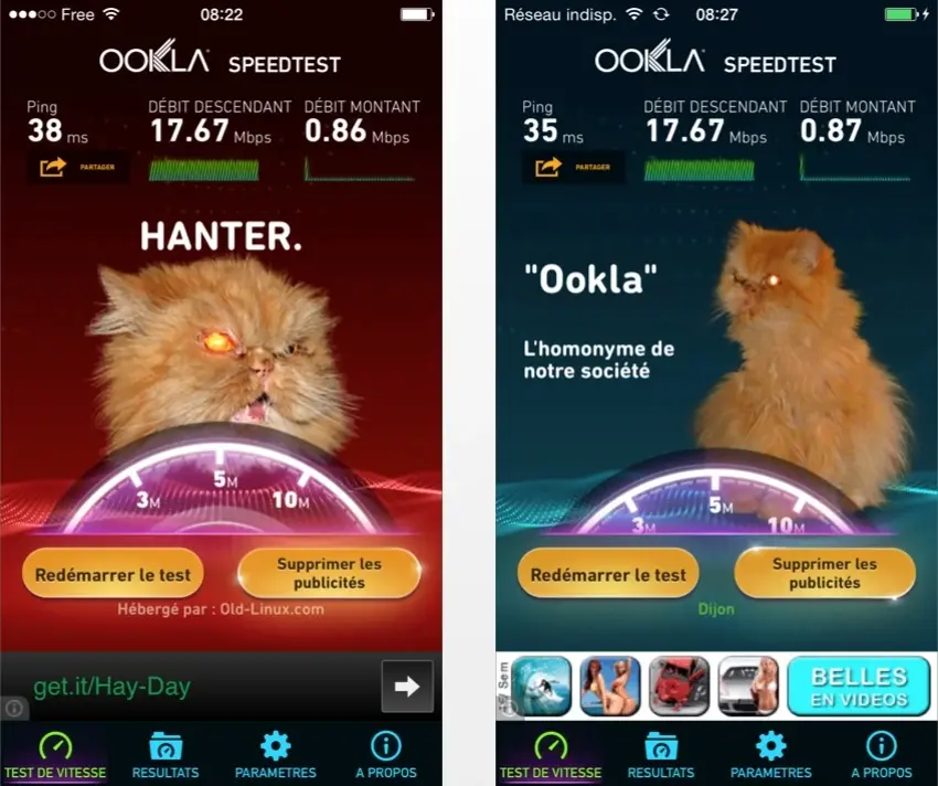 Insolite : quand SpeedTest raconte l'histoire de son chat décédé