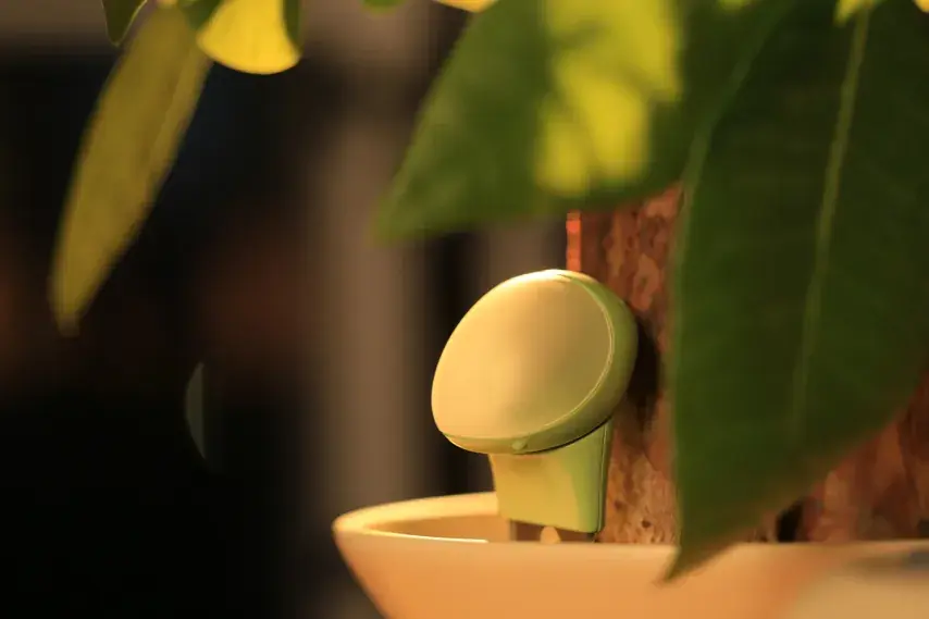 Un tamagotchi trop mignon pour entretenir ses plantes&nbsp;!