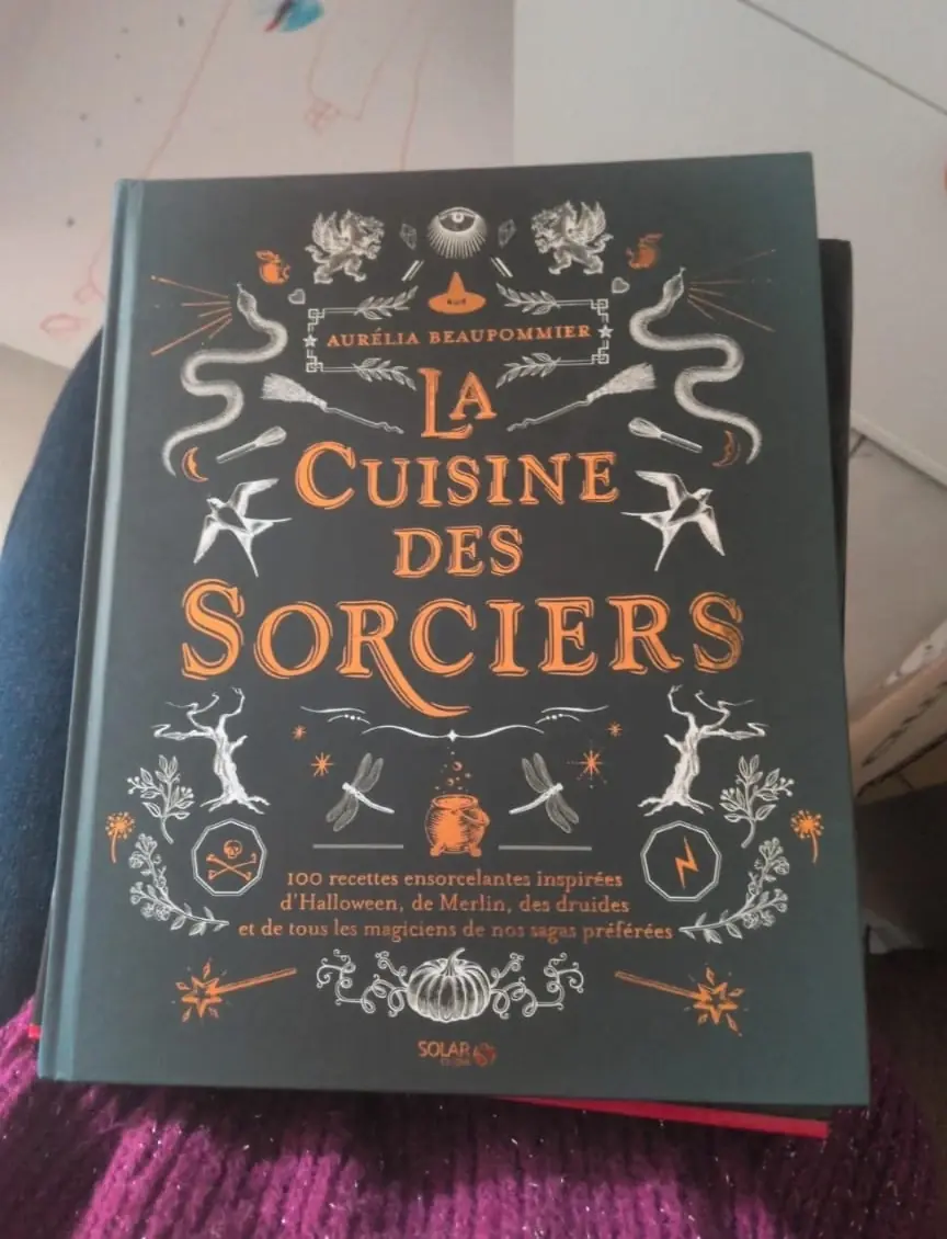 Ceci est la photo d'origine de l'annonce, avec le livre juste avant qu'il soit emball&eacute;