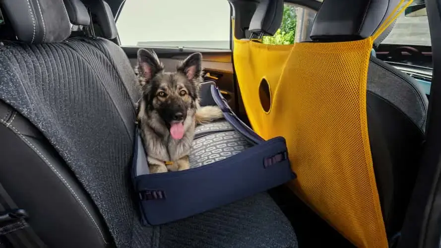 Peugeot d&eacute;voile un e-5008 pens&eacute; pour les chiens, avec s&egrave;che-poils int&eacute;gr&eacute;