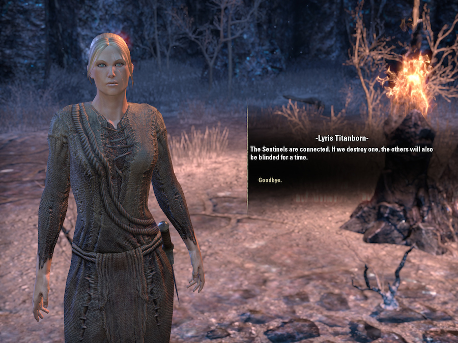 Preview The Elder Scrolls Online Mac
