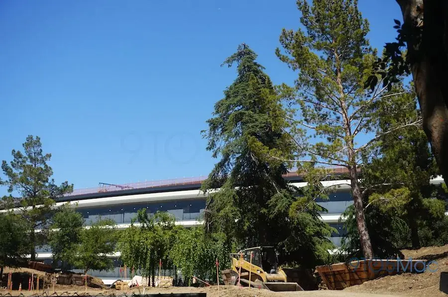 La végétation continue de s'étendre aux abords des bâtiments d'Apple Park (photos)