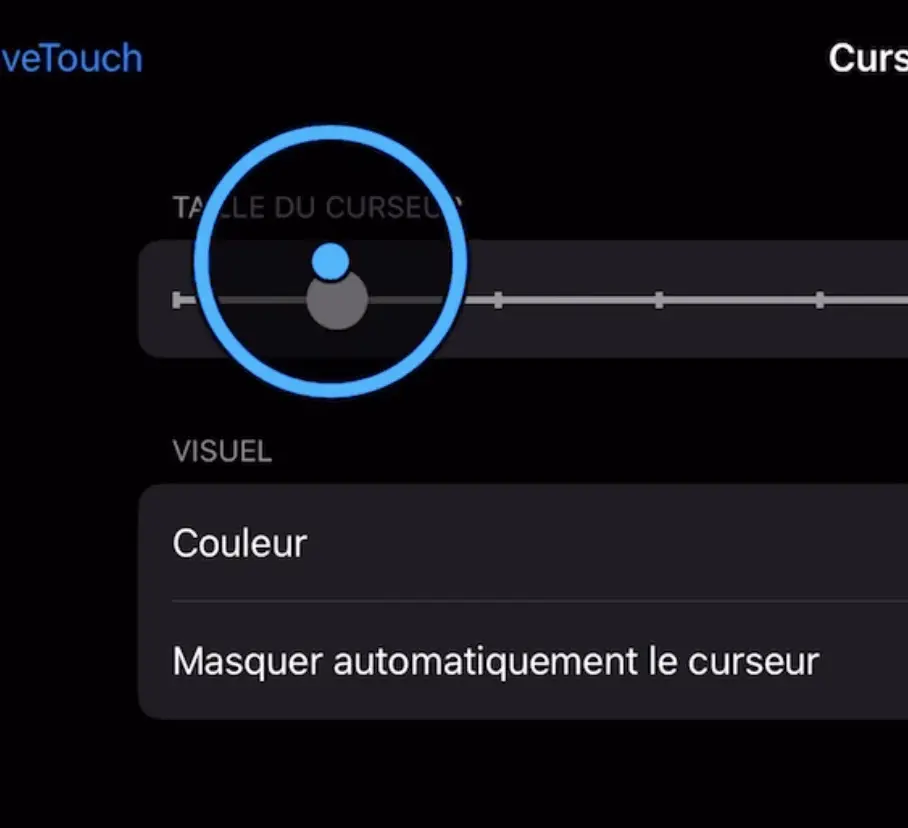 La souris de l'iPad ne ressemble toujours pas à un curseur (mais on s'en rapproche)