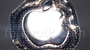 Logo, boutons de volume, APN : l'iPhone 6 continue son effeuillage