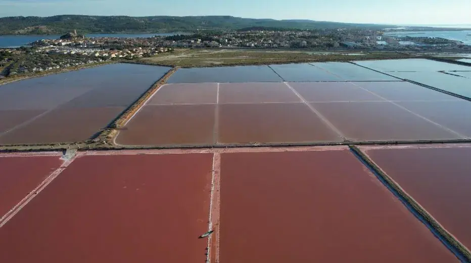 Les batteries sodium-ion : une révolution pour les véhicules électriques ?