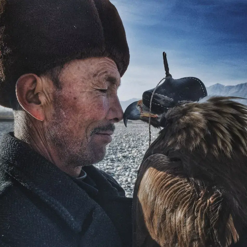 Les gagnants des "iPhone Photography Awards 2016" ont été désignés