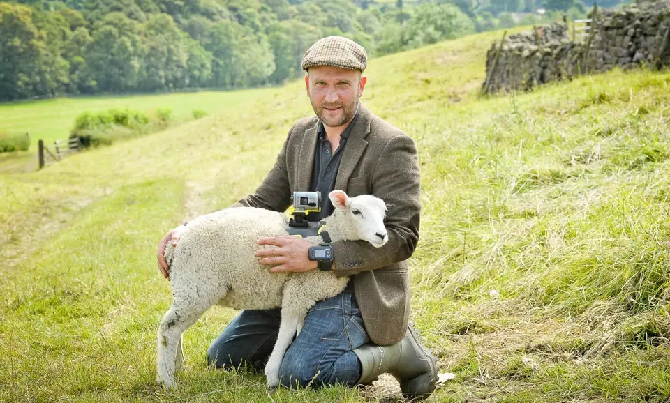 Insolite : Sony loue 5 moutons pour y attacher des caméras pour filmer le Tour de France