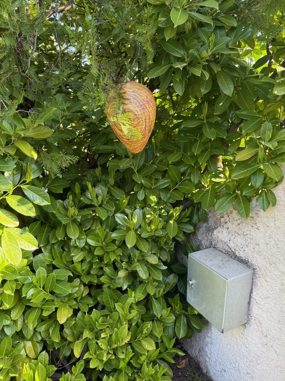 Je peux enfin aller chercher mon courrier sans peur de me faire piquer.