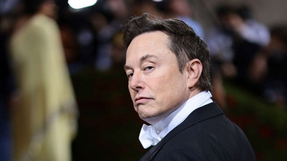 Elon Musk cherche "quelqu'un d'assez fou pour le remplacer" à la tête de Twitter !