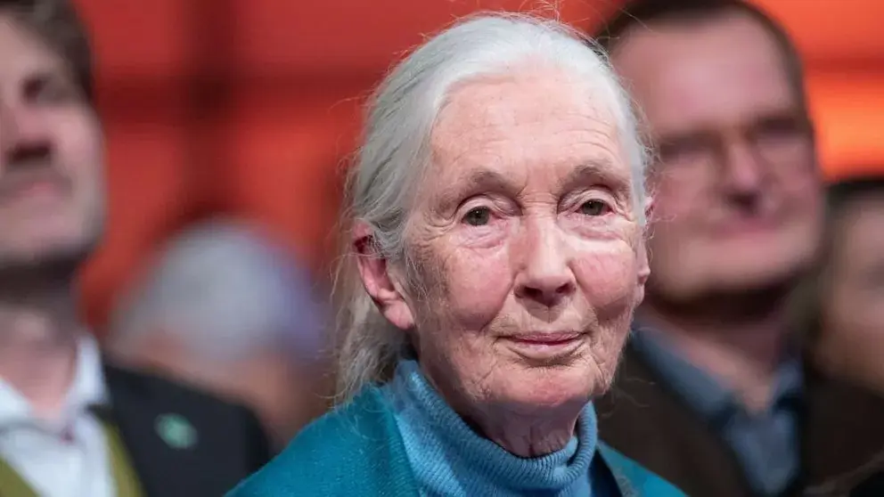 Apple et l'anthropologue Jane Goodall s'allient en faveur du recyclage des déchets électroniques 